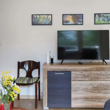 Lejlighed Allod Park Haus C 301 By Interhome Davos